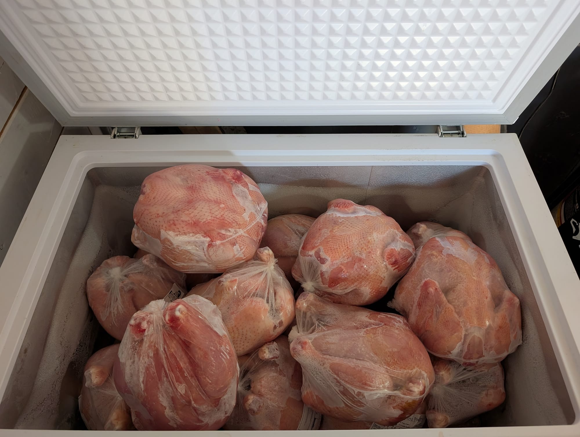 🐔 2026 Chicken Pre-Orders are LIVE: Meet the Rustic Ranger